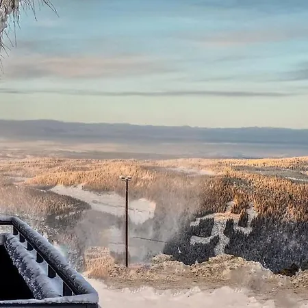 New Ap The Nest In Hafjell In Out And Fast Wifi Apartamento Øyer